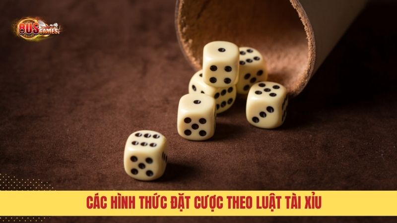 Các hình thức đặt cược theo Luật Tài Xỉu